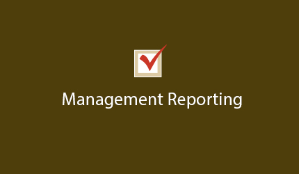 Management Reporting Newmarket, Newmarket Management Reporting, CPA Firm MD&amp;A Newmarket, Ontario